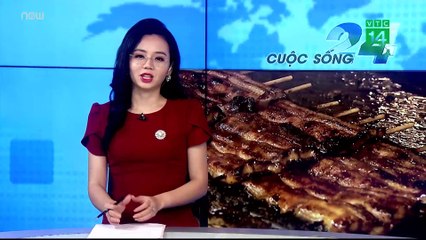 Nhật Bản: Món lươn trở nên đắt khách trong dịch Covid-19  | VTC