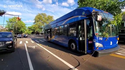 New York bus, multiple cars get trapped under tree, live power lines due to Tropical Storm Isaias