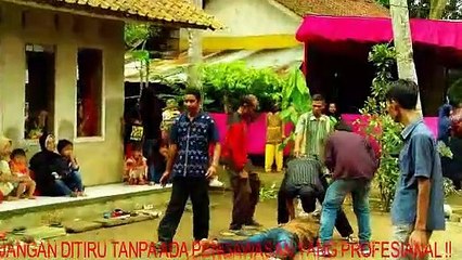 ATRAKSI DEBUS MEMAKAN AYAM HIDUP - HIDUP