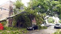Tropical Storm Isaias crushes cars, trees in New York