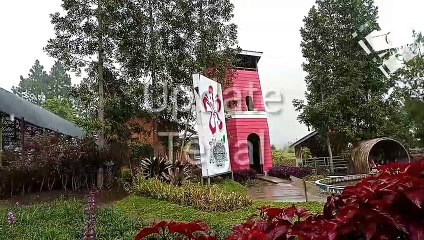 Wisata Taman Anggrek Tegal yang Sedang Buming di Tegal