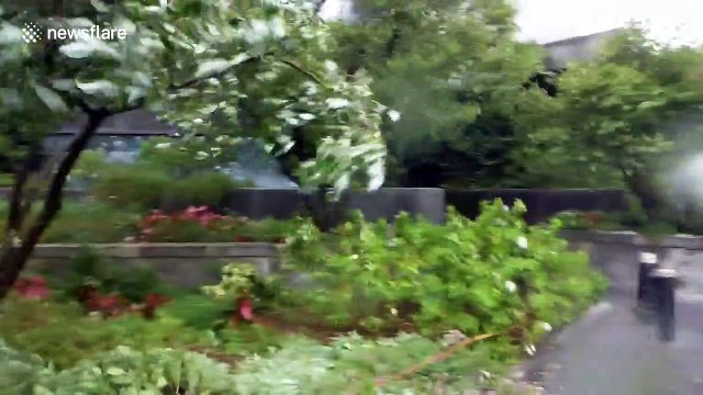 Tropical Storm Isaias lashes New York City with high winds and rain