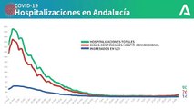 Gráfico con la evolución de los ingresos hospitalarios por coronavirus en Andalucía. COVIDー19