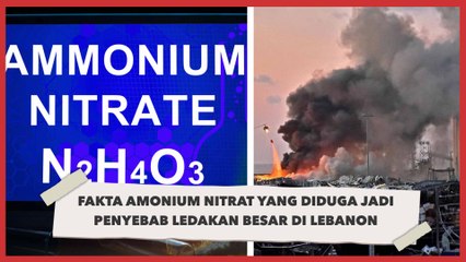 Fakta Amonium Nitrat yang Diduga Jadi Penyebab Ledakan Besar di Lebanon