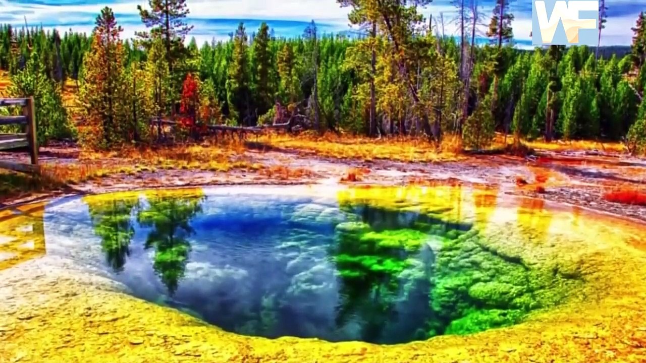 YELLOWSTONE A MONSTER WAKING UP video Dailymotion
