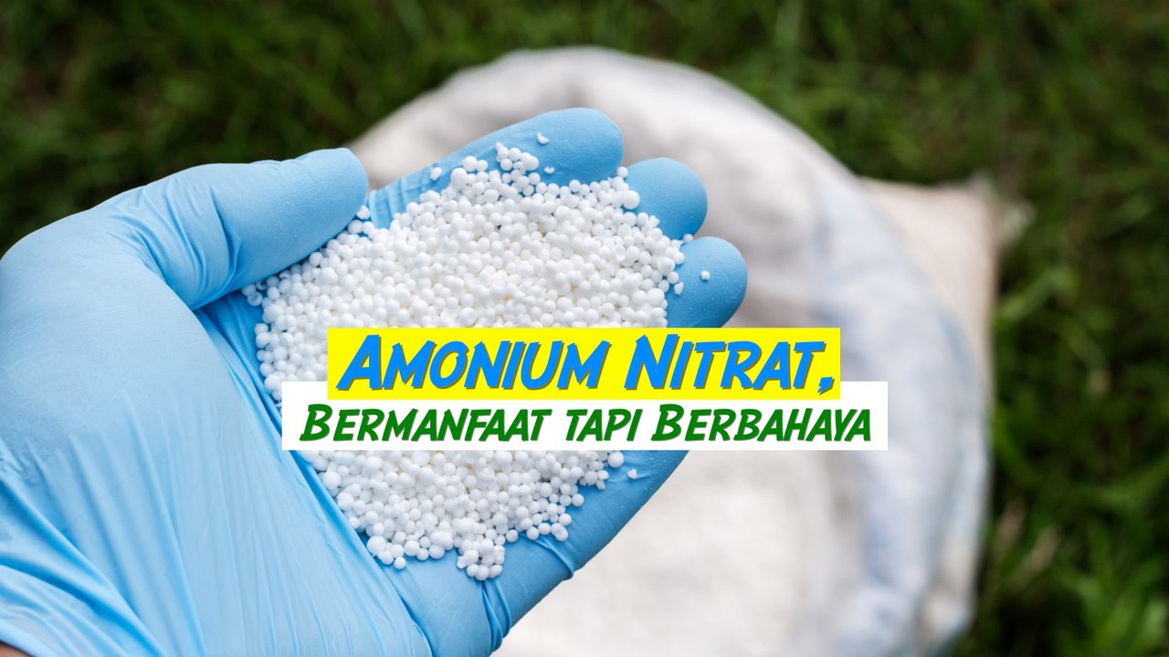 Walau Bermanfaat untuk Pertanian, Senyawa Amonium Nitrat Juga Bisa Berbahaya
