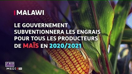 JT Eco Afrique - 05/08/2020