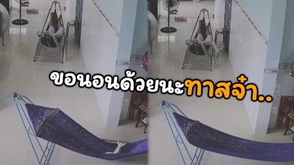 สุดน่ารัก !! น้องเหมียวนอนลำพัง ทนเหงาไม่ไหว ขอไปนอนกับทาสด้วยนะ