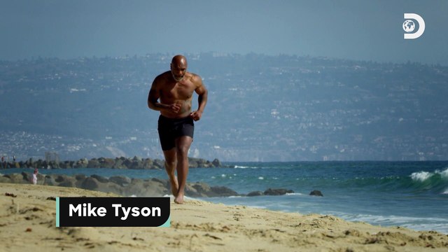 Le documentaire « Mike Tyson vs Shark » sera diffusé le 21 août à 22h25 en France (le 9 août à 21h aux Etats-Unis) sur Discovery Channel