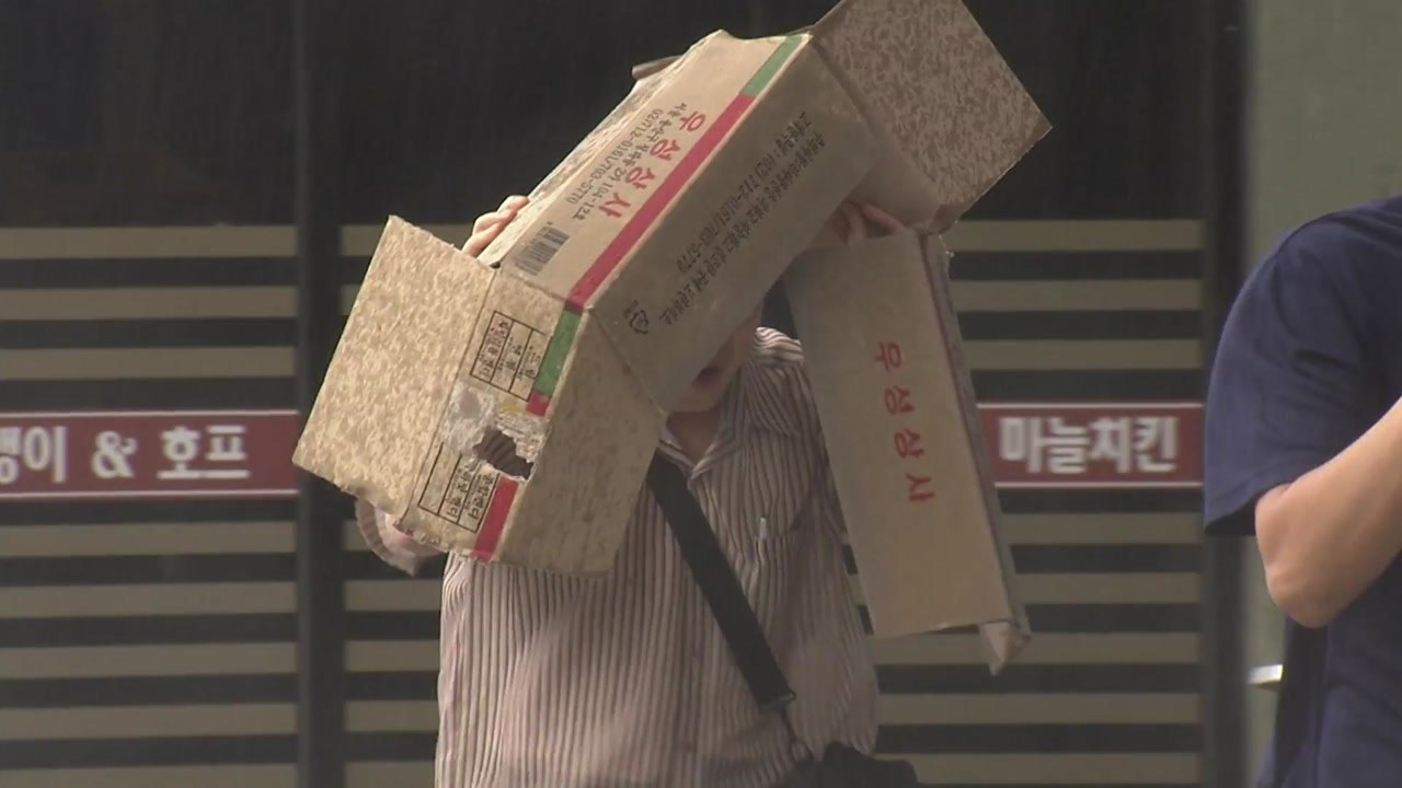 [뉴있저] 자꾸 빗나가는 기상청 예보...오보 이유는? / YTN
