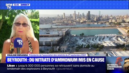 La présidente de l'association des sinistrés de l'usine AZF juge "criminel" le stockage d'une telle quantité de nitrate d'ammonium à Beyrouth