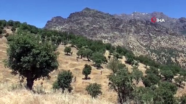 Barış Pınarı bölgesine sızmaya çalışan 1 PKK/YPG'li terörist etkisiz hale getirildi