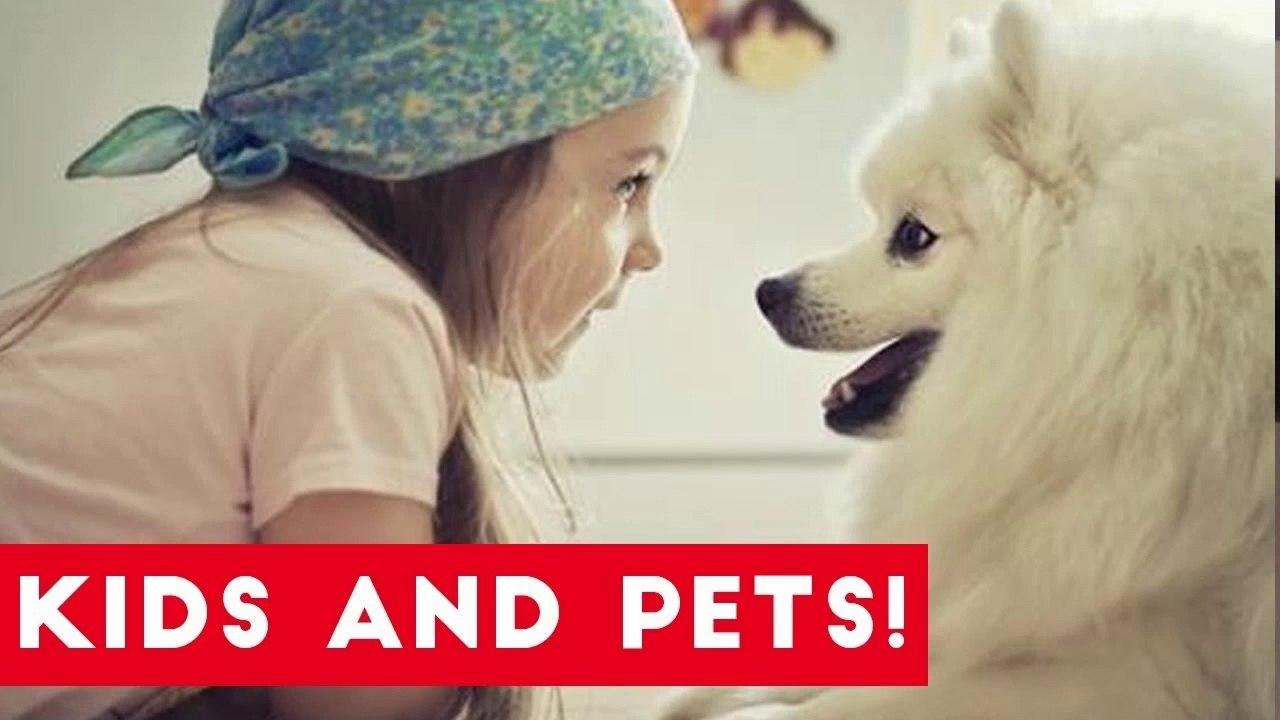 The Funniest Pets Meet The Cutest Kids & Babies of 2017 Weekly Compilation _ Funny Pet Videos