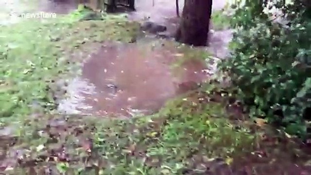 US river bursts banks after Tropical Storm Isaias sweeps through Philadelphia