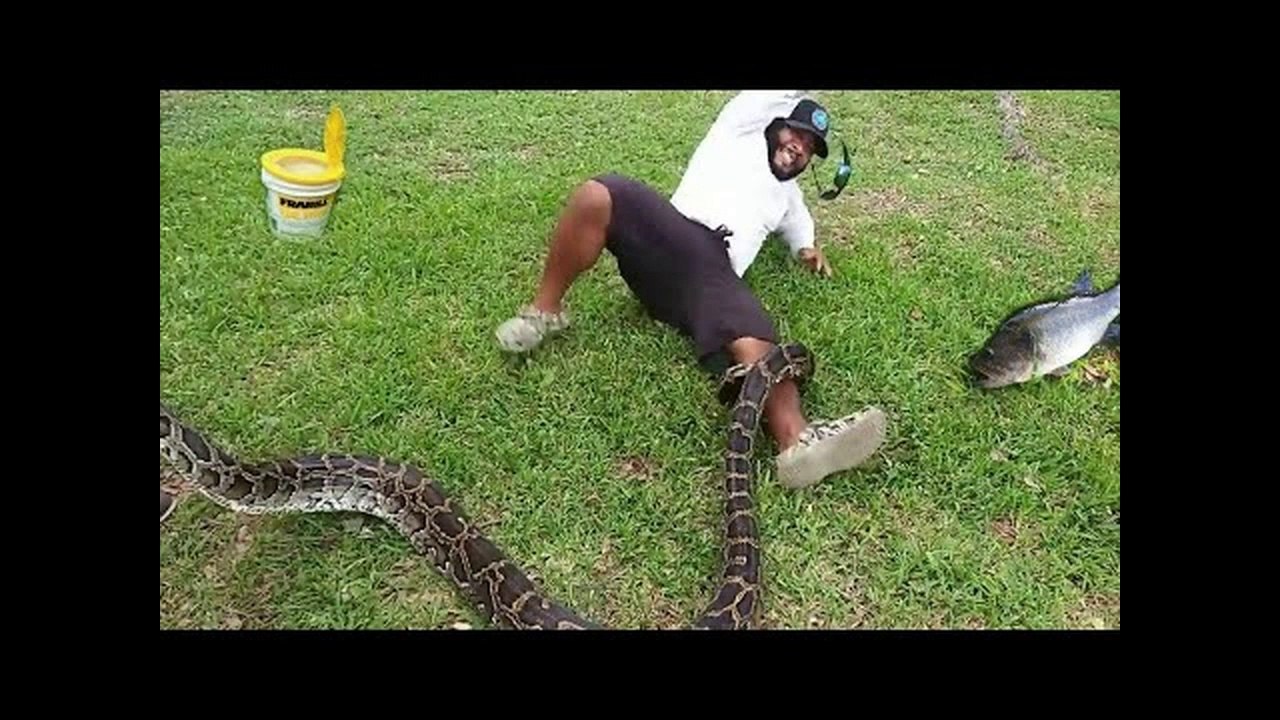 DANGEROUS SNAKE attacks while Bass Fishing!! HELP identify
