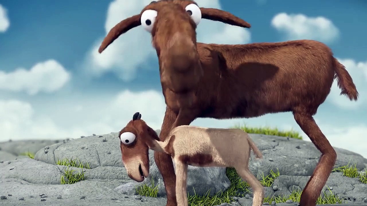  goat humanity in animals ..