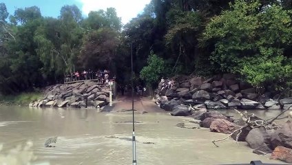 Traffic Jam in Australia's Northern Territory