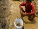 Amazing Man Catching Catfish in Muddy Water Under Big Rockb | Animal Trap