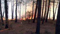 Pendik Kaymakamlığından Aydos Ormanındaki yangına ilişkin açıklam