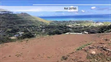 A VENDRE TERRAIN DE 1600m2A MOOREA - MAHAREPA (VUE MER)