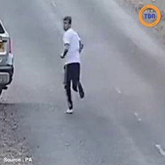 Trois personnes en voiture percute une femme et son chien avant de prendre la fuite