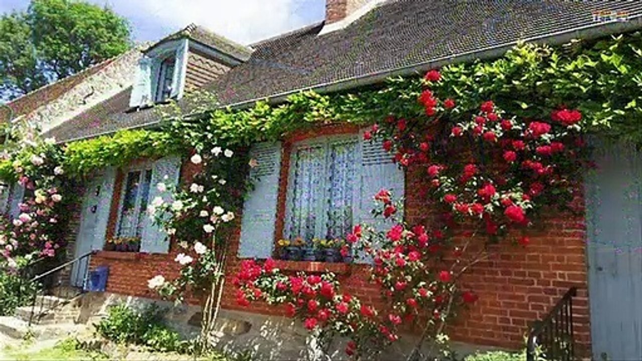 The Most Beautiful Flower Gardens Around The House