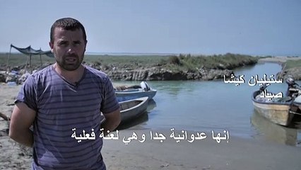 السلطعون الأزرق عدو صيادي الأسماك اللدود في ألبانيا