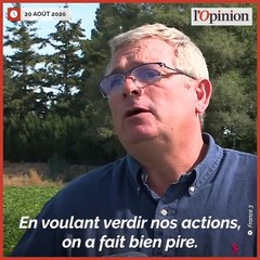Néonicotinoïdes: le boomerang politique qui revient au visage de Barbara Pompili