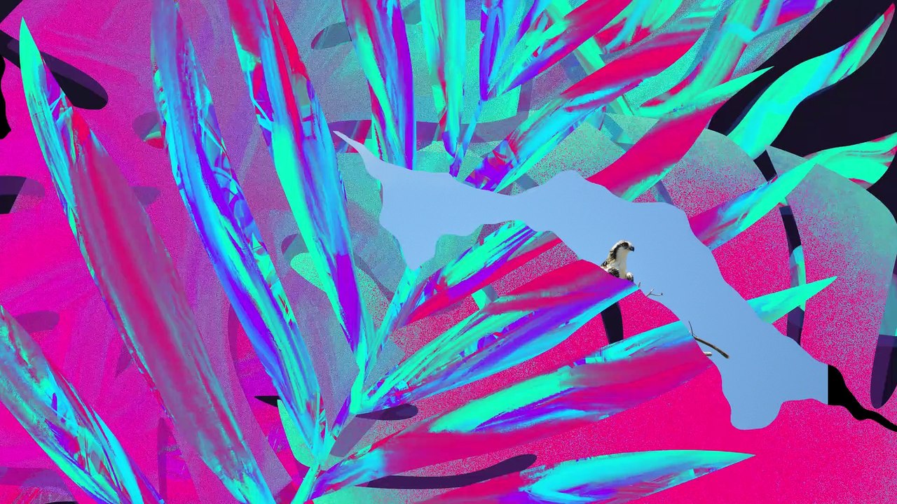 Florida Here We Come Series 7 Fort De Soto Park St Petersburg Florida