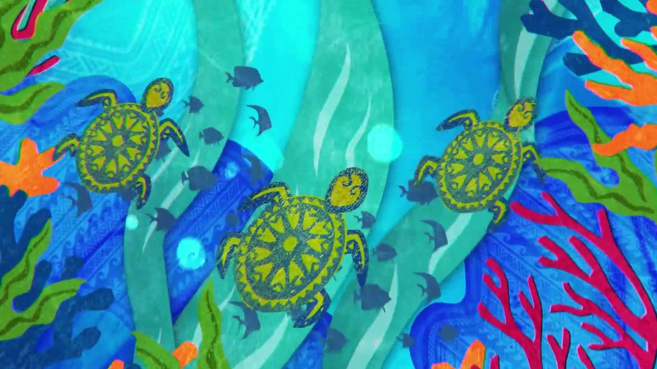 Florida Here We Come Series 12 Zoo Tampa at Lowry Park Primates