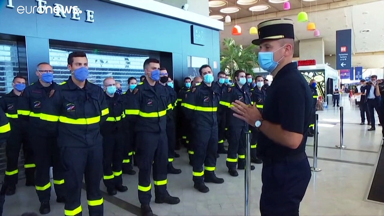 Erste Helfer im zerstörten Beirut eingetroffen: Retter und Suchhunde