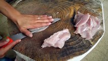 تعلم كيف تقطع شريحة لحم الديك الرومي والدجاج - Apprenez comment découper un poulet