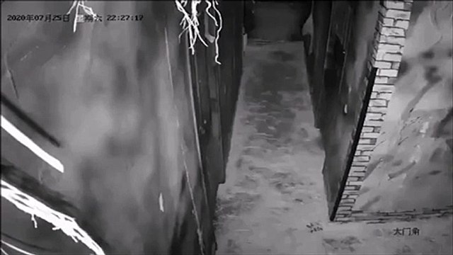 Il se souviendra longtemps de sa soirée dans cette maison hantée !