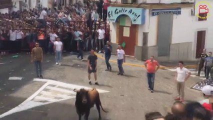2017-04-16 TORO DEL ALELUYA CEDIDO POR JUAN DE DIOS RUIZ