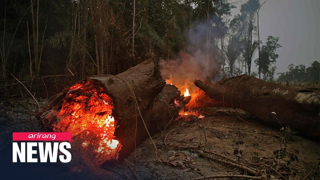 Brazilian health expert warns of Amazon deforestation