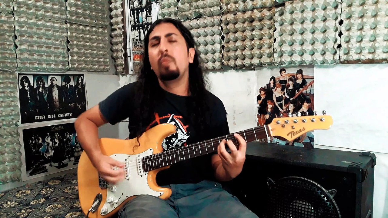 BEYOOOOONDS - Gannen Bungee Jump | Guitar Cover by Mr. Moonlight