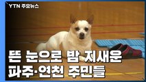 집중호우 군남댐 방류...뜬 눈으로 지새운 파주·연천 주민 / YTN