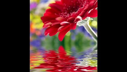 _Drugs_for_sexual_desire_and_sperm_growthযৌন_আকাঙ্খা_ও_শুক্রানু_বৃদ্ধির_ঔষুুুুধ।