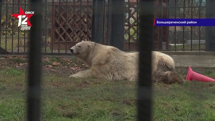 ボリシェリェーチェ動物園が営業を再開へ (Aug.06_2020)