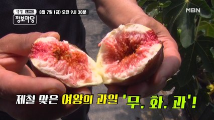 생생 정보마당 [692회] - 설레는 금요일