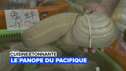 Cuisine étonnante : voulez-vous manger une palourde qui ressemble à ceci ?