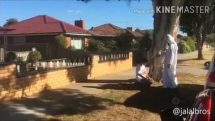 Troll từ nhà ra đường - Troll from home to street, fake IS 1