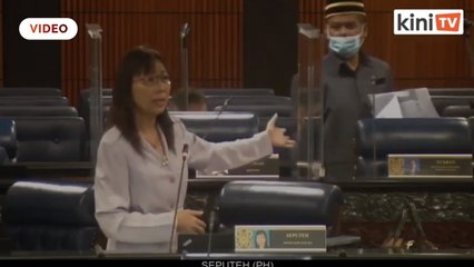 'Penghadang ini boleh sekat Covid-19 ke_' - soal Teresa Kok pada Adham