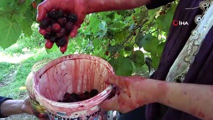 Karadutun ekonomiye katkısı