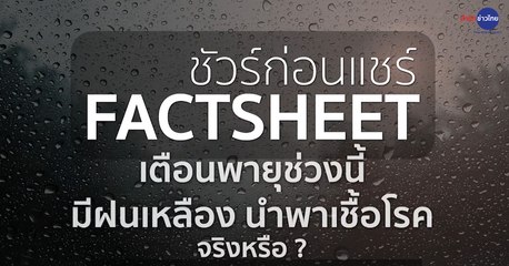 ชัวร์ก่อนแชร์ FACTSHEET : เตือนพายุช่วงนี้ มีฝนเหลืองนำเชื้อโรค จริงหรือ?