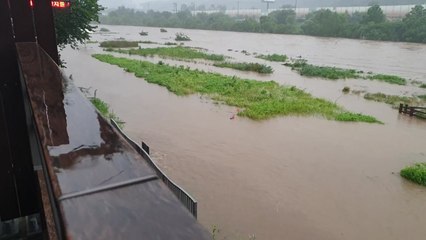 자라섬 잠기고 수상스키장까지 '둥둥'...YTN 접수된 제보 영상들 / YTN