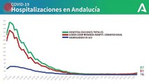 Gráfico con la evolución de los ingresos hospitalarios por coronavirus en Andalucía. COVIDー19