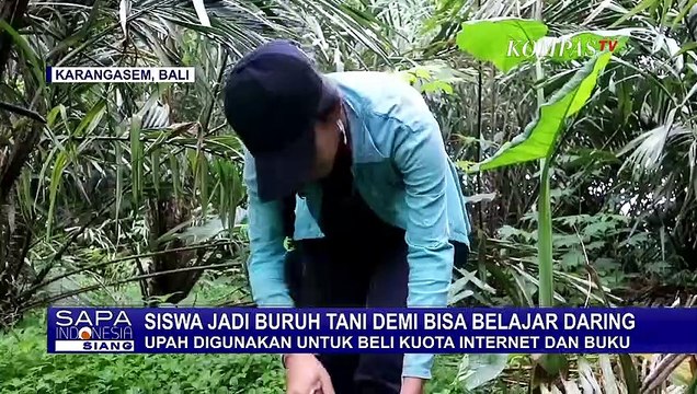 Siswi SMA Ini Rela Jadi Buruh Tani Agar Bisa Beli Kuota Internet