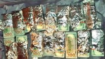 Jet Airways stewardess nabbed for smuggling US$500,000  cash