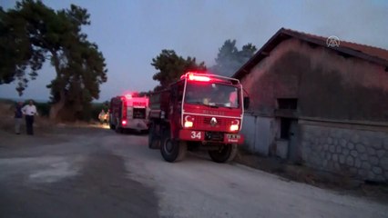 Araştırma enstitüsündeki yangın söndürüldü (2) - MERSİN